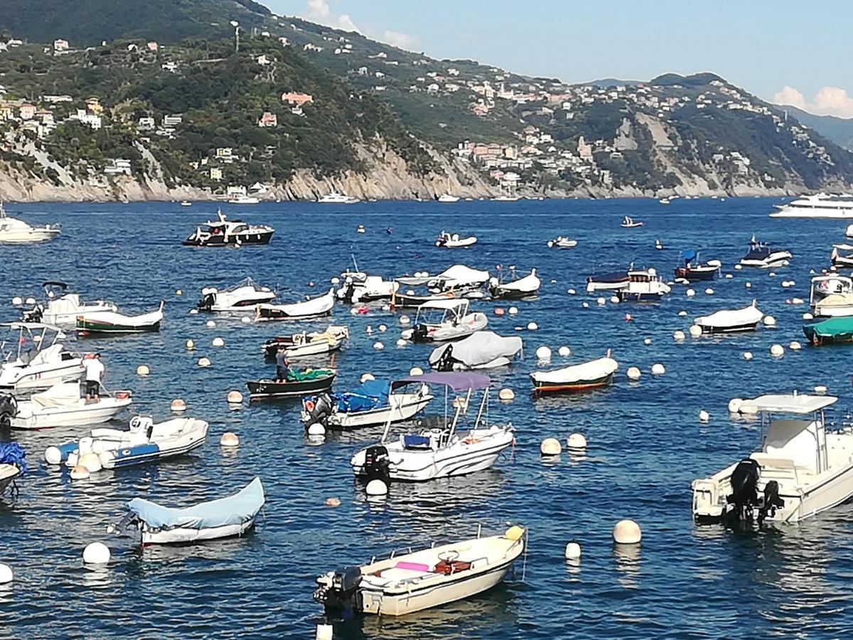 Residence Portofino Est Cod L07441 Rapallo Eksteriør bilde